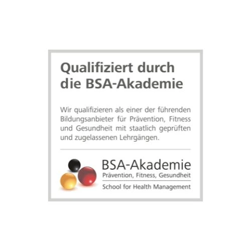 Logo der BSA Akademie